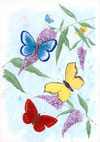 Butterflies II